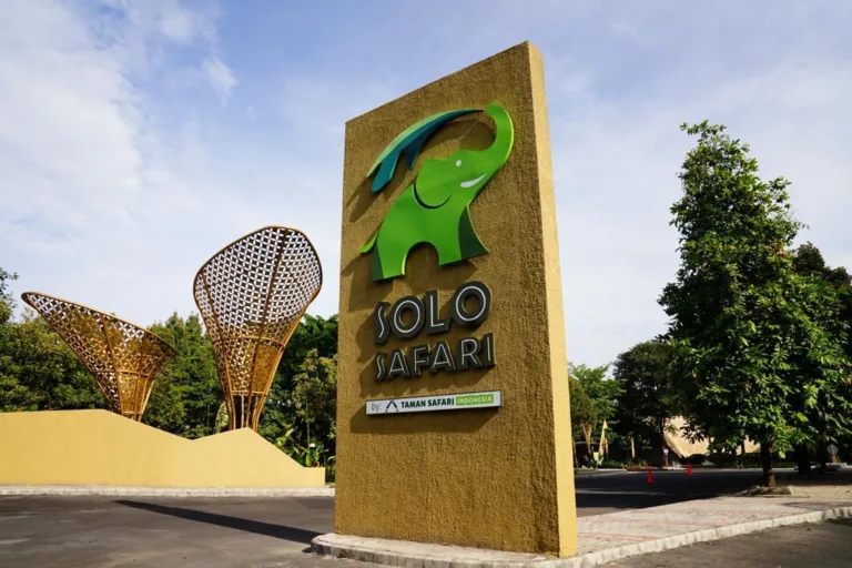 Solo Safari Memamerkan Bayi Harimau Benggala yang Menggemaskan di Momen Lebaran 2024
