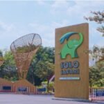 Solo Safari Merayakan Hari Kartini Bersama Taman Safari Indonesia Solo Safari