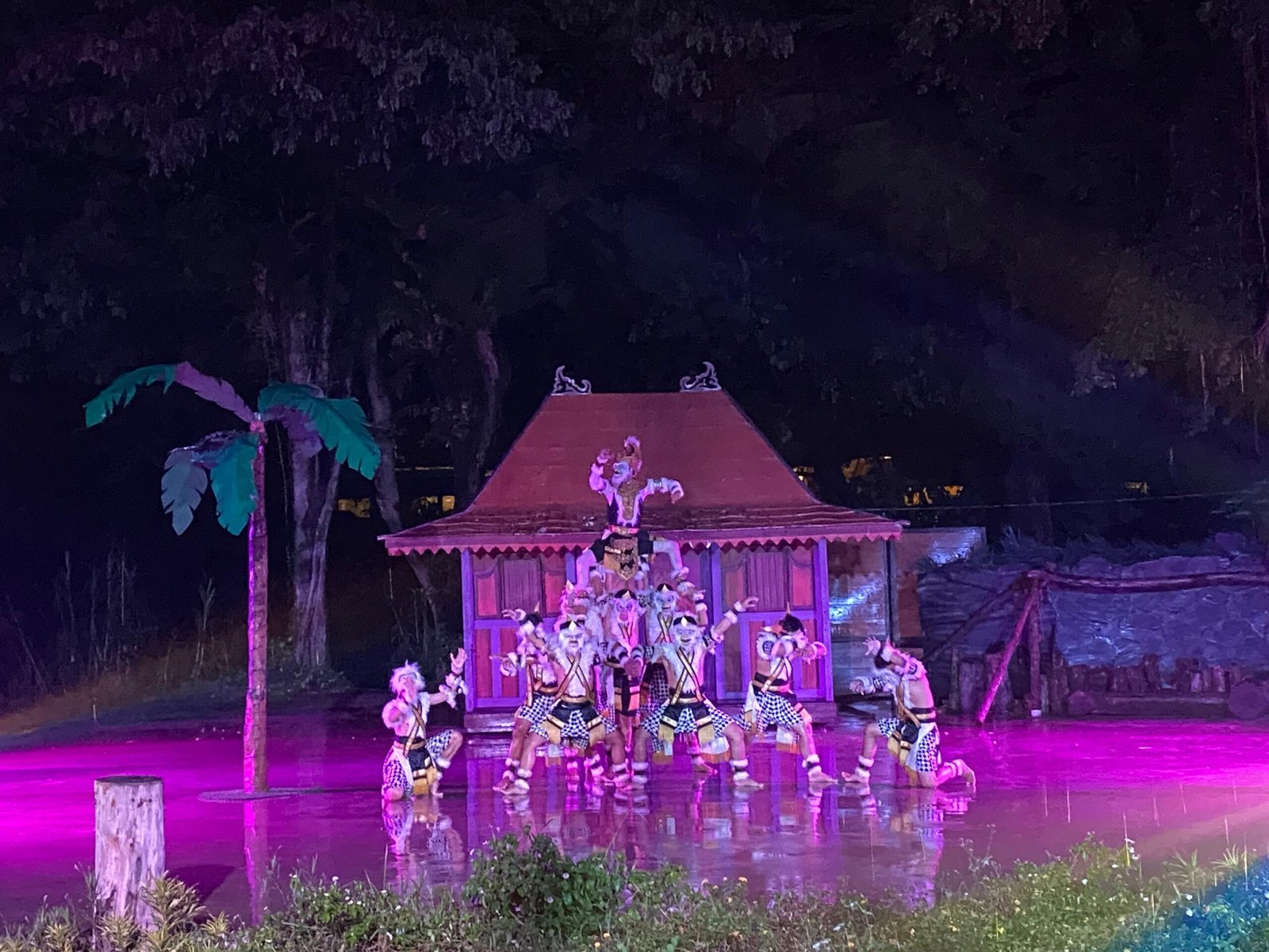Pertunjukan Spesial dengan tema “Hanoman The Satria Wanara” di Panggung Solo Safari