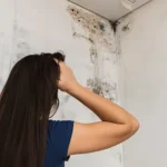 Cara Mengurangi Kelembapan Udara di Ruangan