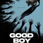 Film Horor dari Sudut Pandang Anjing? Inilah Good Boy! good boy poster
