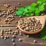 Kenali 10 Manfaat Merica untuk Kesehatan!