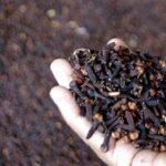 Manfaat Cengkeh untuk Kesehartan Jantung
